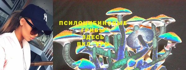 прущая мука Арсеньев