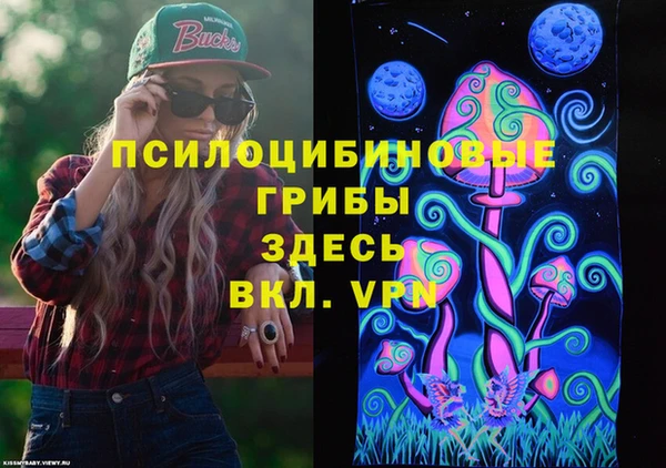 твердый Армянск