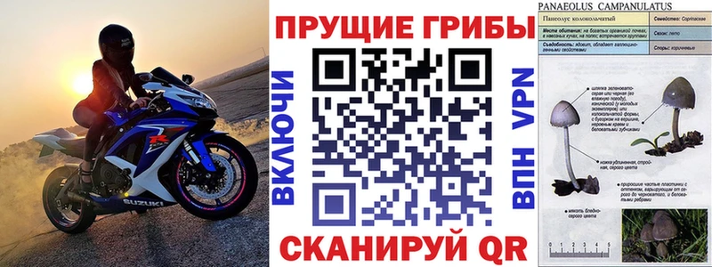 купить  цена  Аша  Псилоцибиновые грибы ЛСД 